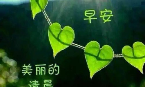 龟 头上红点图片和症状-龟头红点症状网 - 网站提供龟 头红点是性病吗小常识、龟 头红点可能是哪些疾病